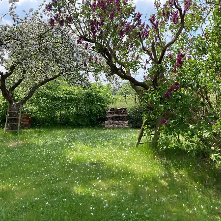 Zur Schoenen Muellerin * Wredenhagen